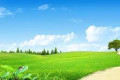 <p>科技爱好者周刊（第 351 期）：GitHub Issues（几乎）是最好的笔记应用</p>