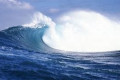<p>九江市支持氢燃料电池车辆 示范应用实施细则</p>