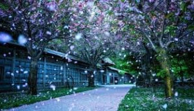 <p>现代C++编程从入门到实践</p>