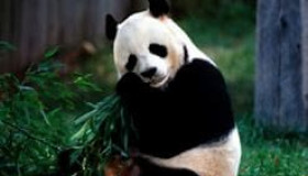 <p>科技爱好者周刊：第 77 期</p>