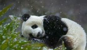 <p>每周分享第 57 期</p>