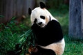 <p>科技爱好者周刊(第 363 期):最好懂的神经网络解释</p>