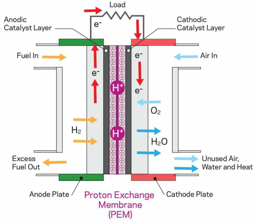 <p>质子交换膜</p>
<p>质子交换膜</p>